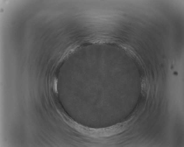 X0000062840046200601201649