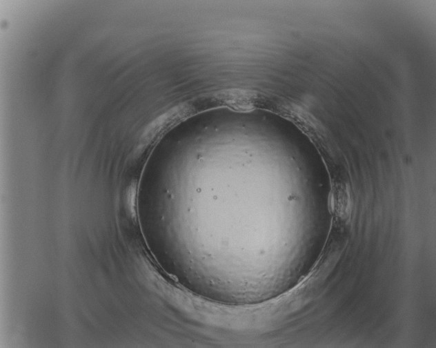 X0000062840047200601201649