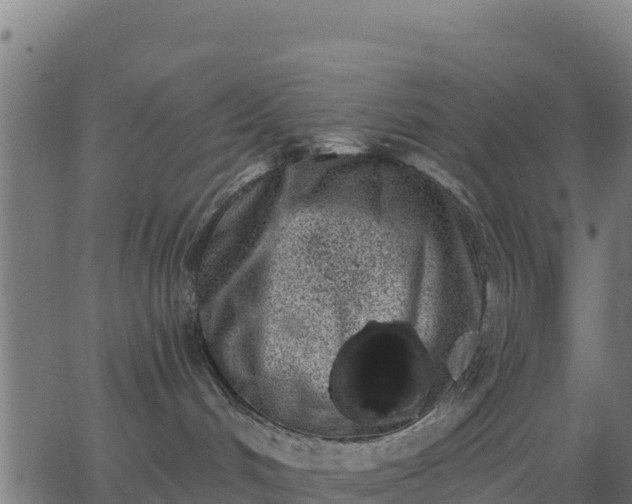 X0000062840048200601201649