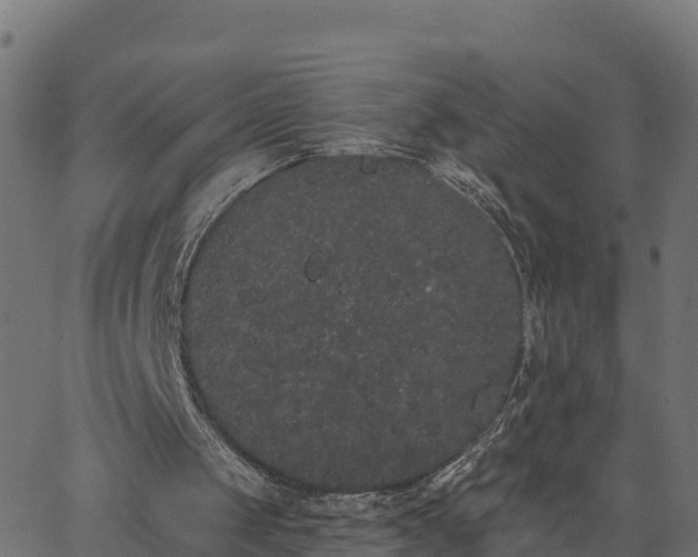 X0000062840049200601201648