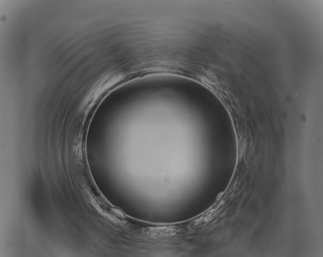 X0000062840050200601201648