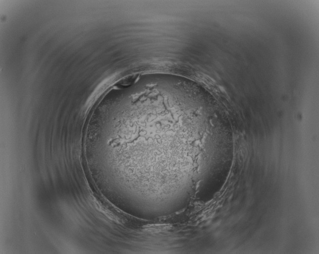 X0000062840051200601201648