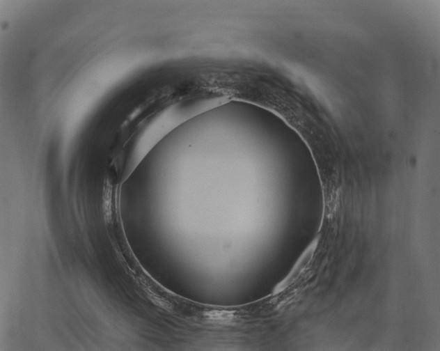 X0000062840052200601201648