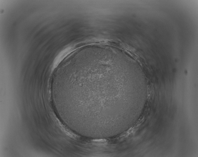 X0000062840053200601201648