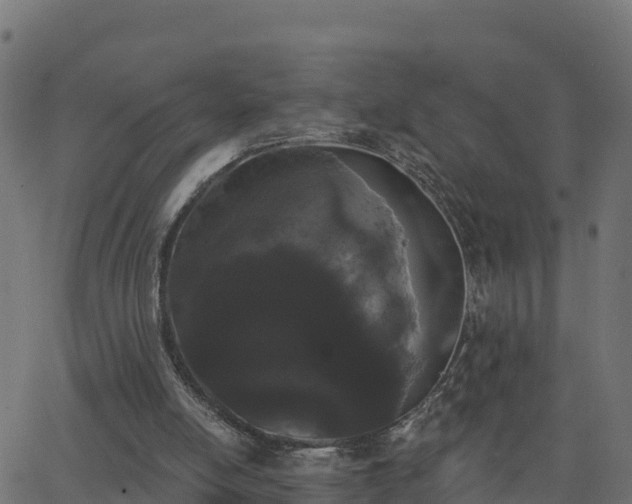 X0000062840054200601201648