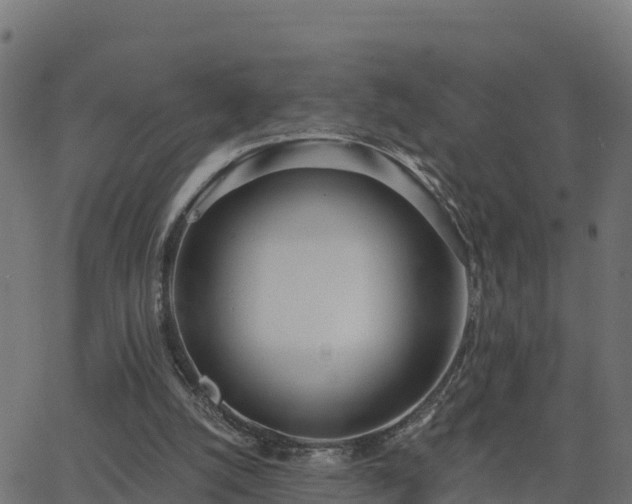 X0000062840056200601201648