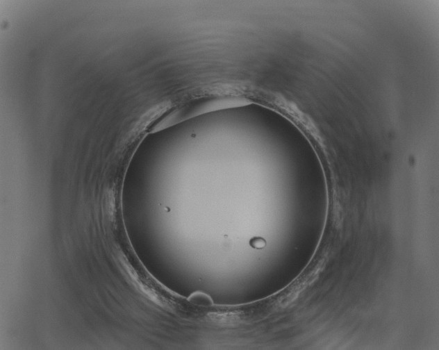 X0000062840057200601201648