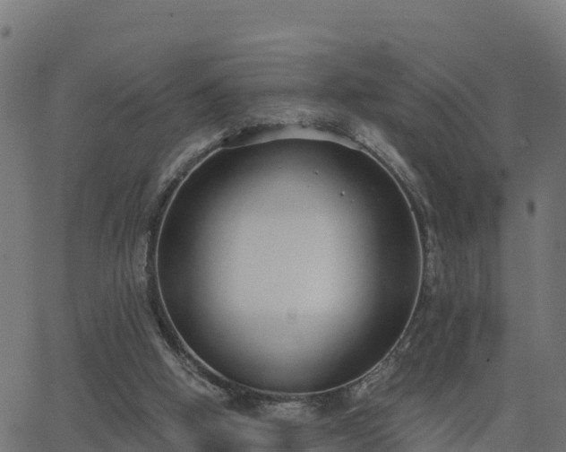 X0000062840058200601201648