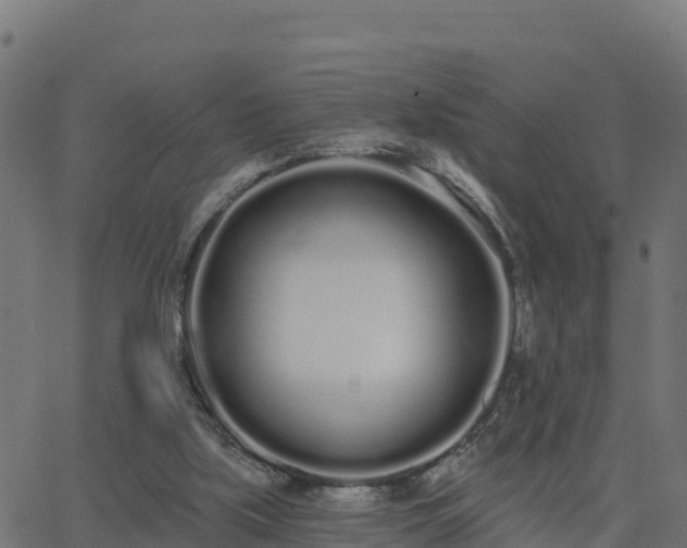 X0000062840059200601201648