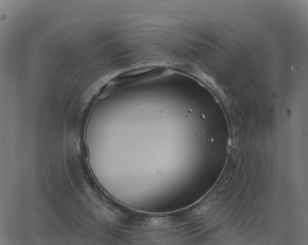 X0000062840060200601201648