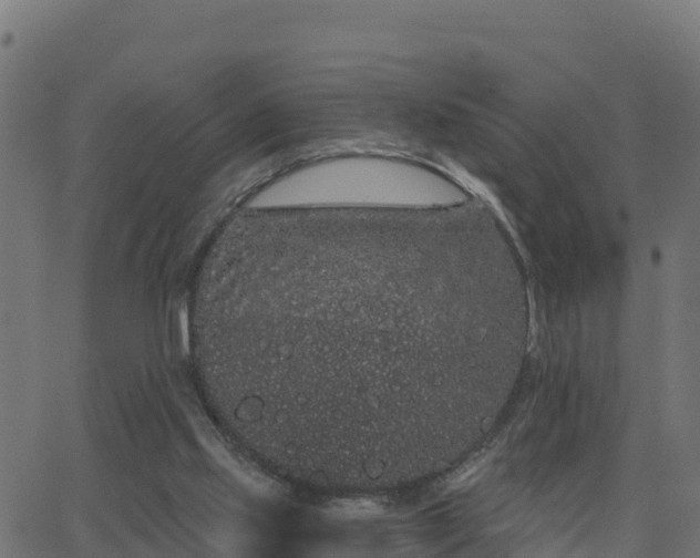 X0000062840061200601201648