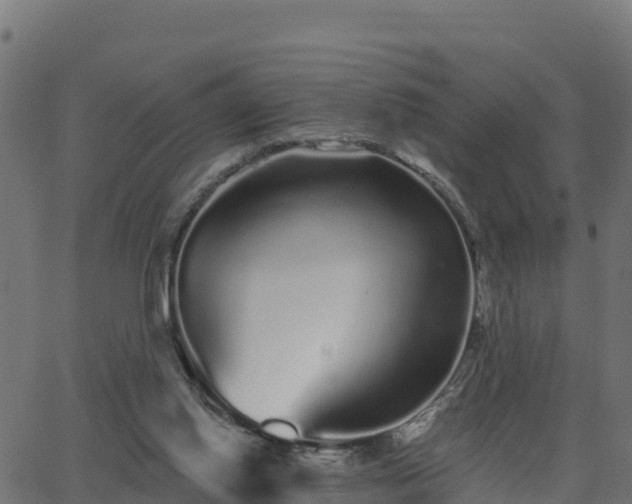 X0000062840062200601201648