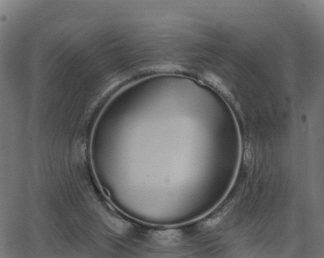 X0000062840063200601201648