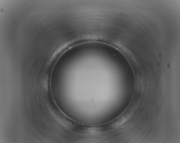 X0000062840064200601201648