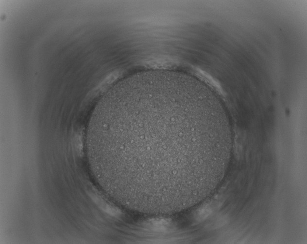 X0000062840065200601201648