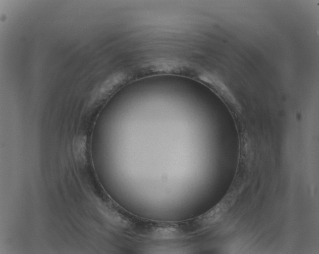 X0000062840066200601201648