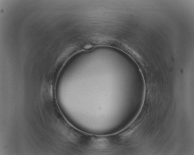 X0000062840067200601201648