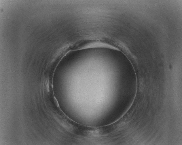 X0000062840068200601201648