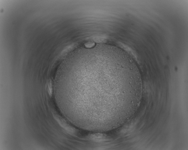 X0000062840069200601201648