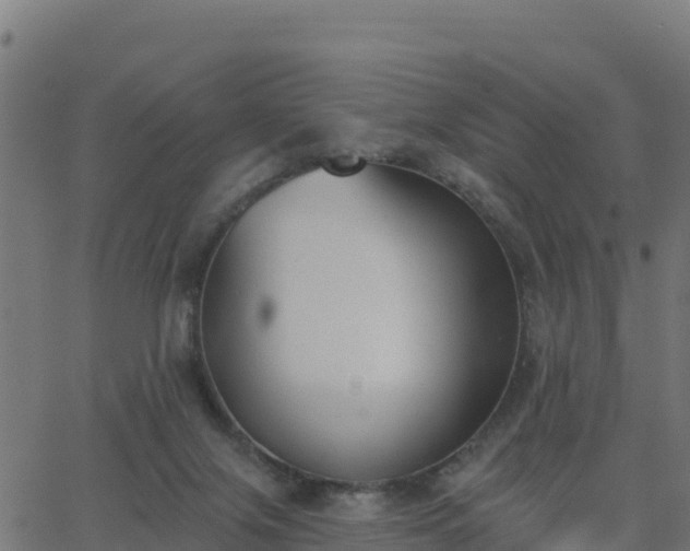 X0000062840071200601201648