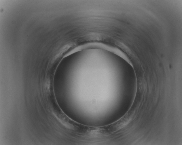 X0000062840072200601201648