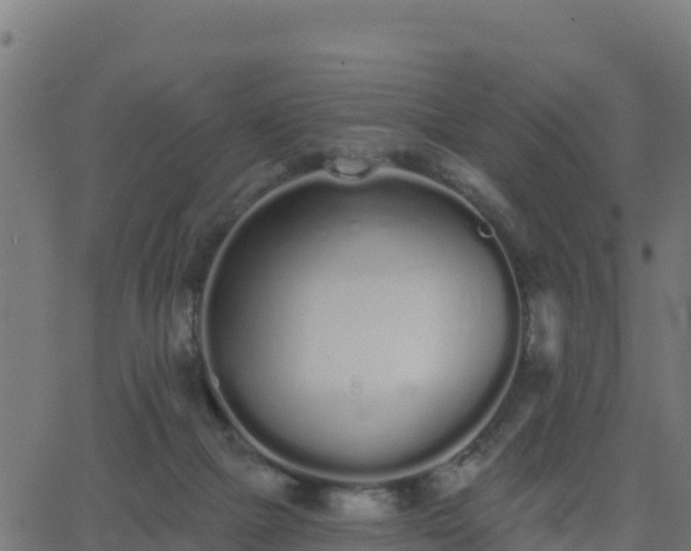 X0000062840073200601201648