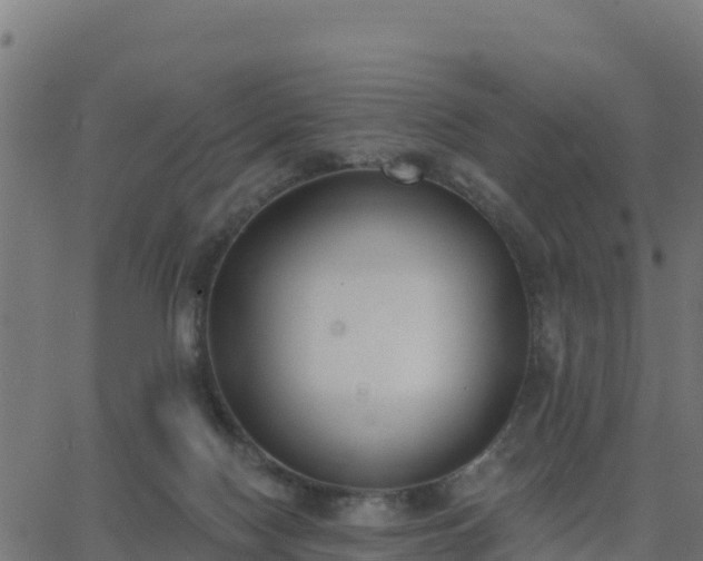 X0000062840074200601201649