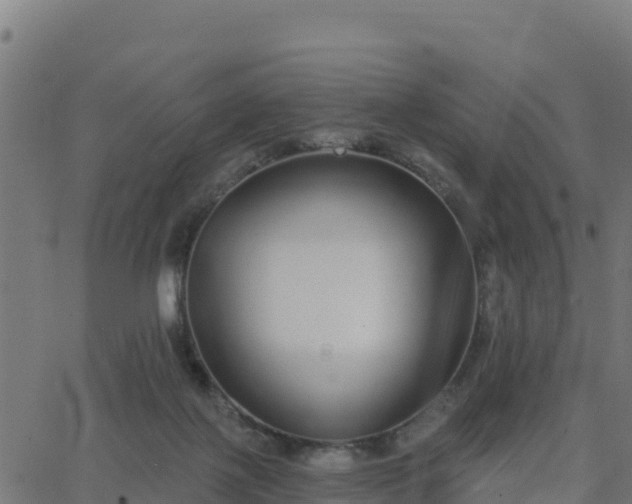 X0000062840075200601201649