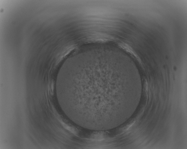 X0000062840076200601201649