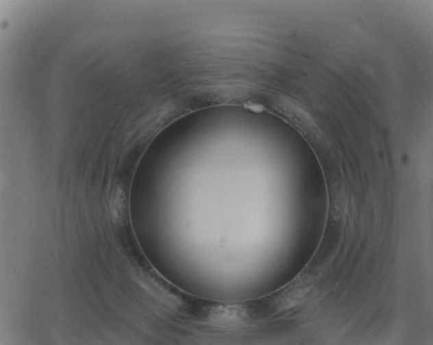 X0000062840077200601201649