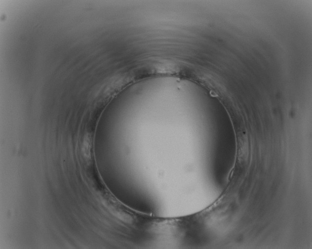 X0000062840078200601201649