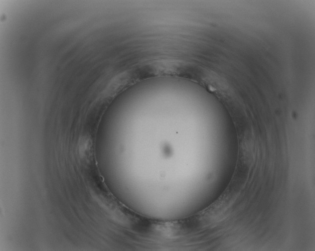 X0000062840079200601201649