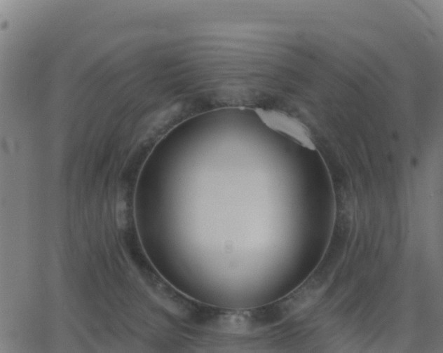 X0000062840080200601201649