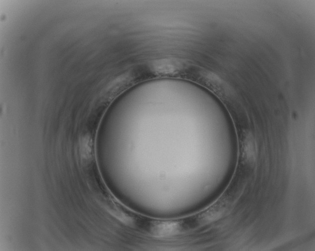 X0000062840081200601201649