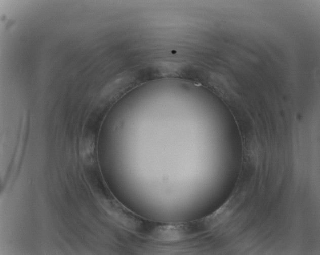 X0000062840082200601201649