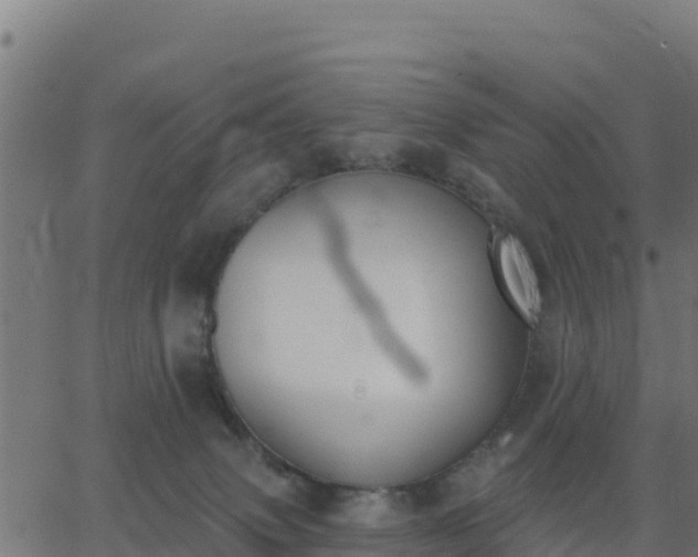 X0000062840083200601201649