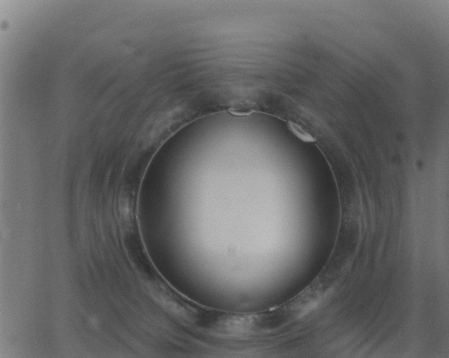 X0000062840084200601201649