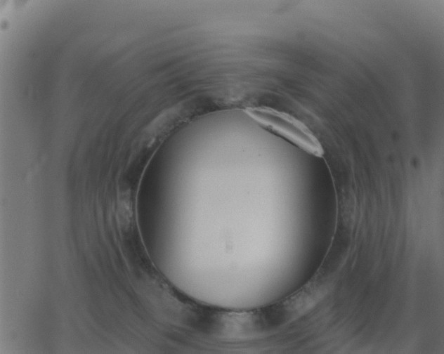 X0000062840085200601201649