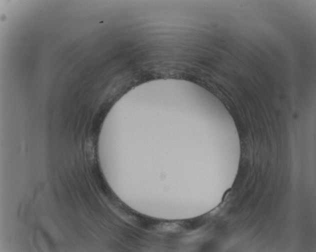 X0000062840086200601201649