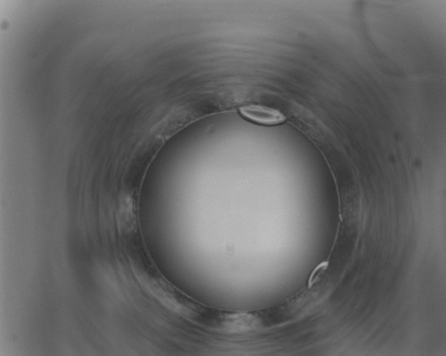 X0000062840087200601201649