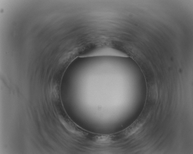 X0000062840088200601201649