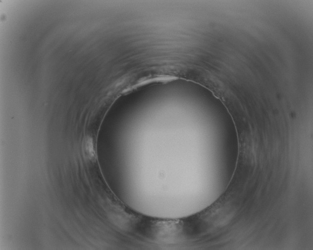 X0000062840089200601201649