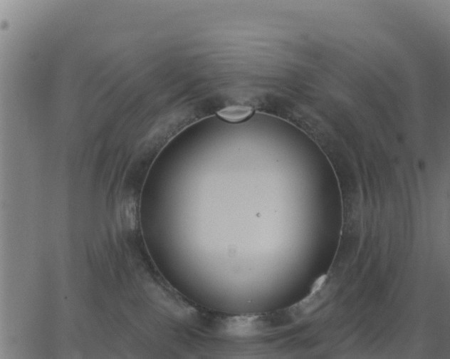 X0000062840090200601201649