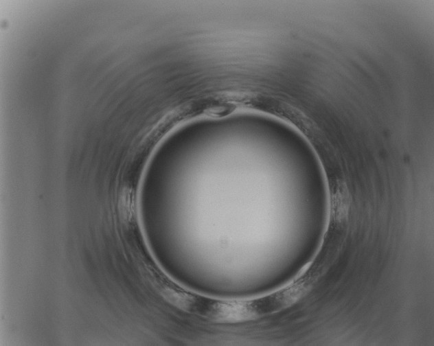 X0000062840093200601201649