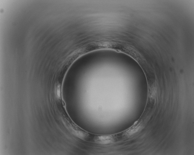 X0000062840095200601201649