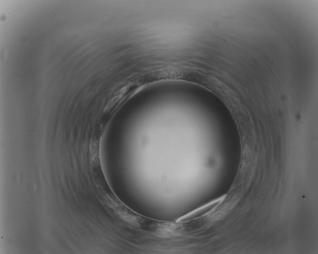 X0000062840096200601201649