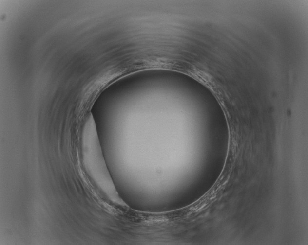 X0000062840097200601201648