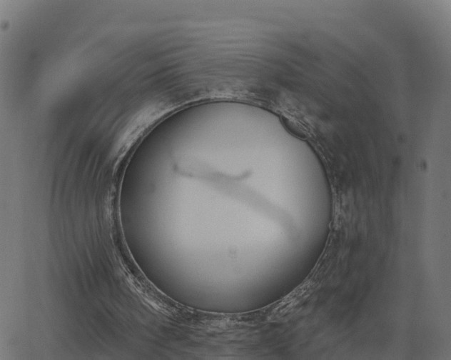 X0000062840098200601201648