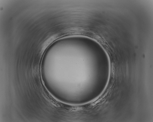 X0000062840099200601201648