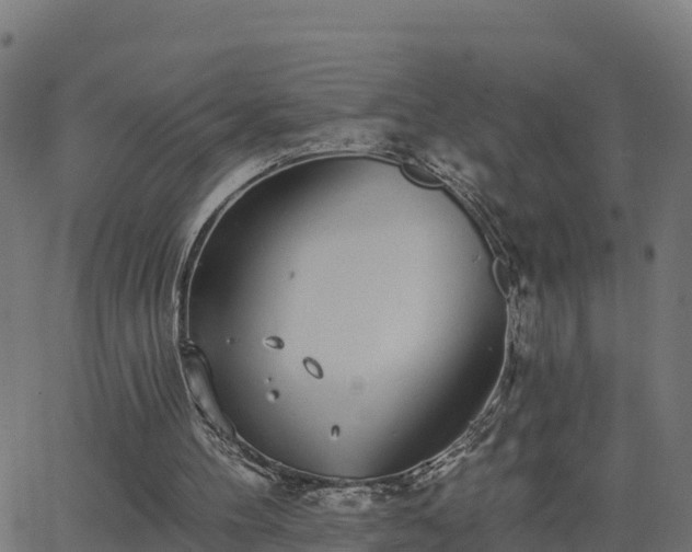 X0000062840100200601201648